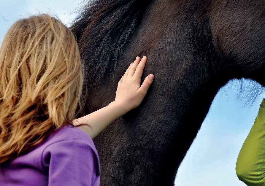 Svýma ušima toho však dokážou ještě mnohem více než jen slyšet. Dávají jimi najevo, jak se cítí.