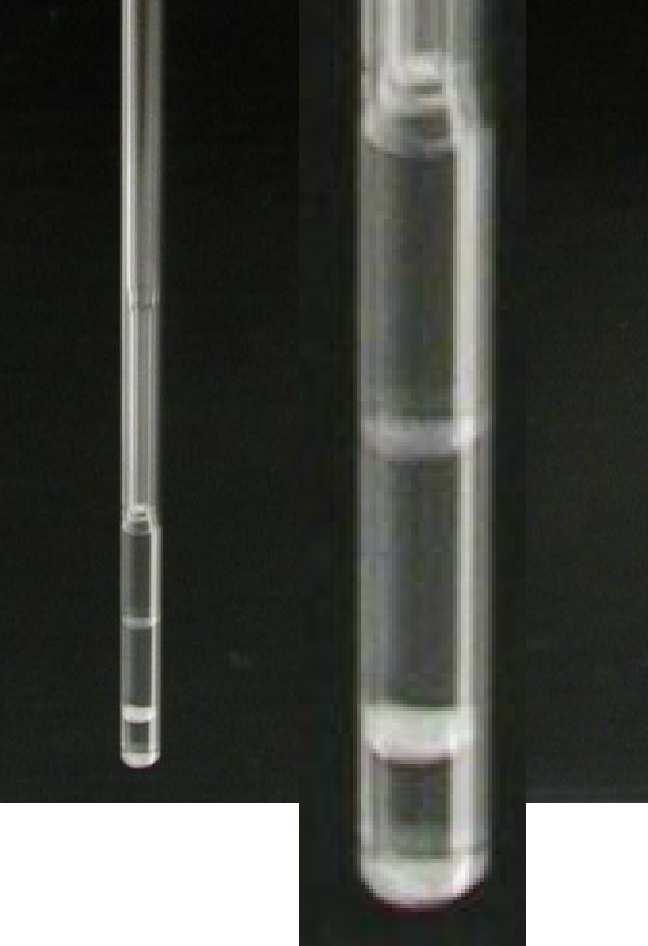 komplexační studie (např. titrace ligandem) 13 C/ 15 N ( 13 C/ 15 N/ 2 H) obohacený vzorek strukturní studie Koncentrace a objem 0.5 1.0 mm / 0.1 0.