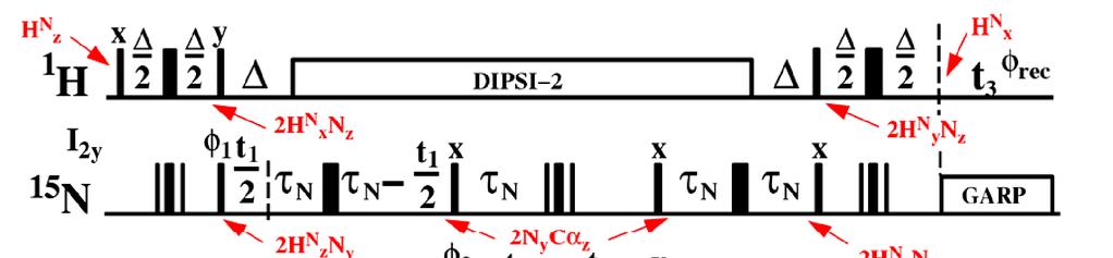 HNCA experiment out-and-back H