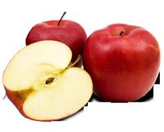 Bonduelle Créatif