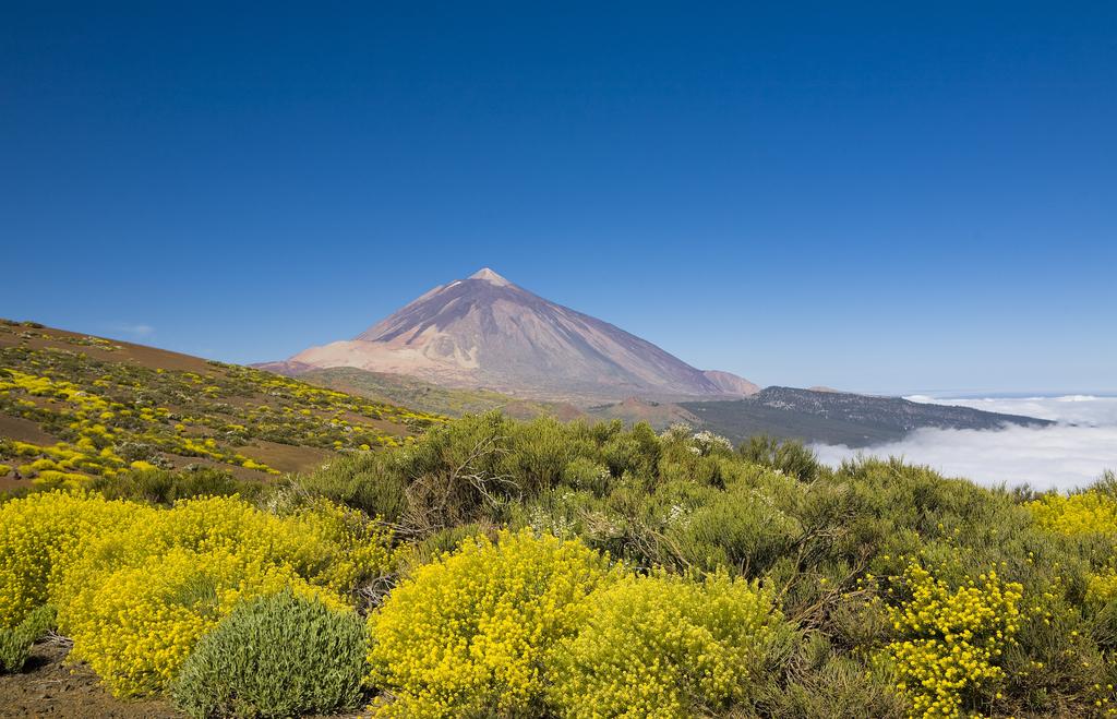 JÓGA NA TENERIFE ŘÍJEN 2019 s Šárkou Majdovou cena 22.