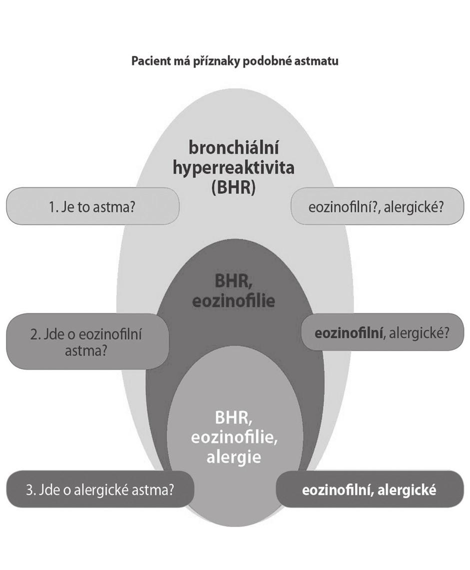 1) eozinofilního alergického, 2) eozinofilního non-alergického 3) non-eozinofilního, non- alergického.