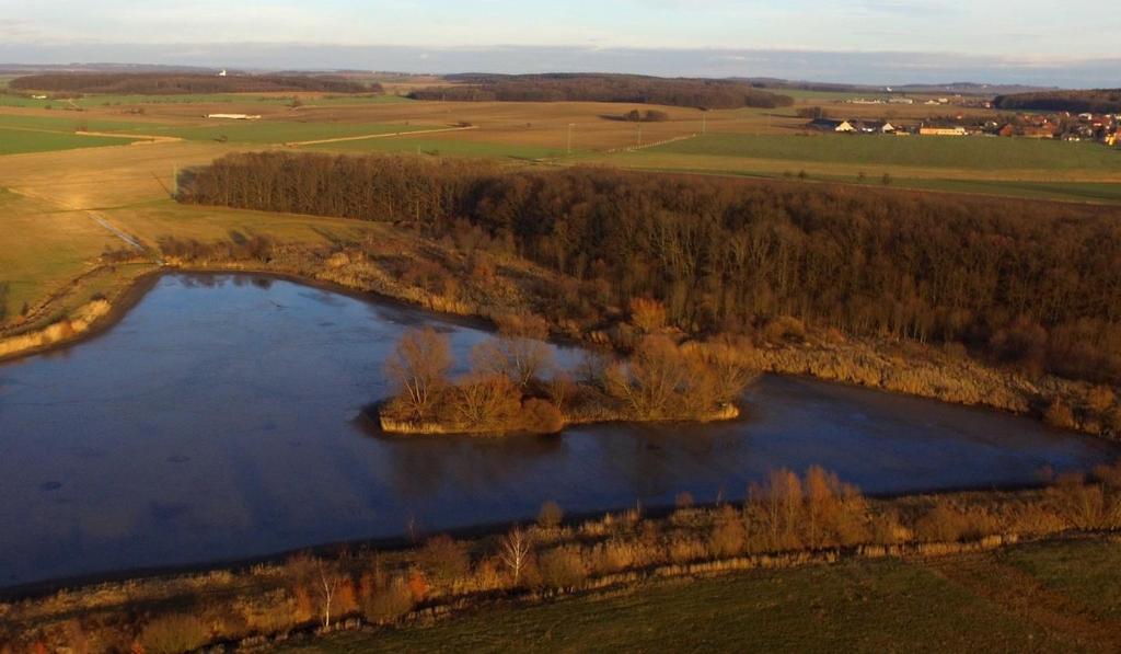 Rybník Homoláč na toku Kanice u Lodína (okr. Hradec Králové) Prostor zátopy přírodě blízké MVN V zátopě je možné vybudovat ostrůvek - důležitý je jeho účel.