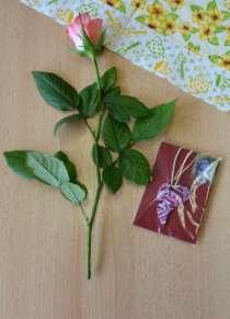 22. 5. Výlet Kroměříž S dětmi jsme navštívili Podzámeckou zahradu v Kroměříži. Na výlety nejezdíme daleko.