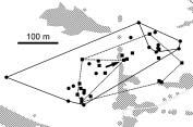 . Obr. 2. Tfiídenní domovské okrsky souãasnû sledovan ch samcû chfiástala polního (4,0 a 2,6 ha; 14. 16. 6. 2000). Men í polygony ohraniãují body, kde byl zaznamenán hlas.
