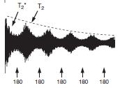 1.1.1.3 Relaxation Experiments In the NMR experiment radio frequency pulse is applied, and by this action thermal equilibrium of the spin system is disturbed.