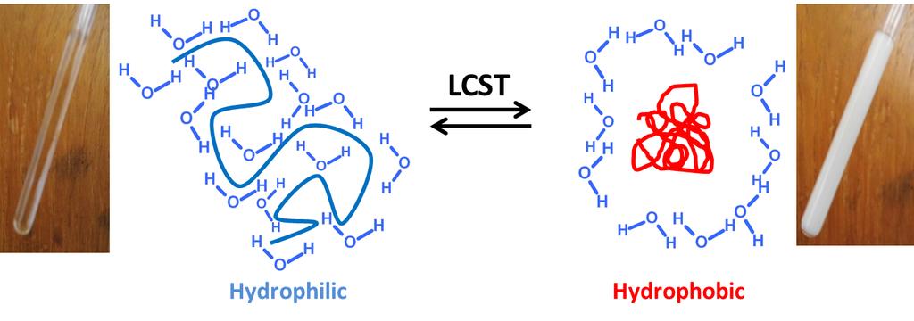 The effect of these changes is dehydration and agglomeration of polymer chains called coil to globule transition of thermoresponsive polymer (Fig. 1.7).