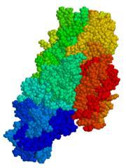 Obrázek 7 Model molekuly ttg (http://en.wikipedia.