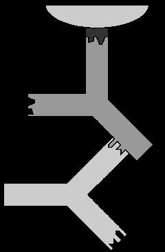 Obrázek 23 Schéma IIF reakce a ilustrace pomůcek a zařízení k provedení testu (EUROIMMUN, 2011) (http://www.euroimmun.com/index.php?