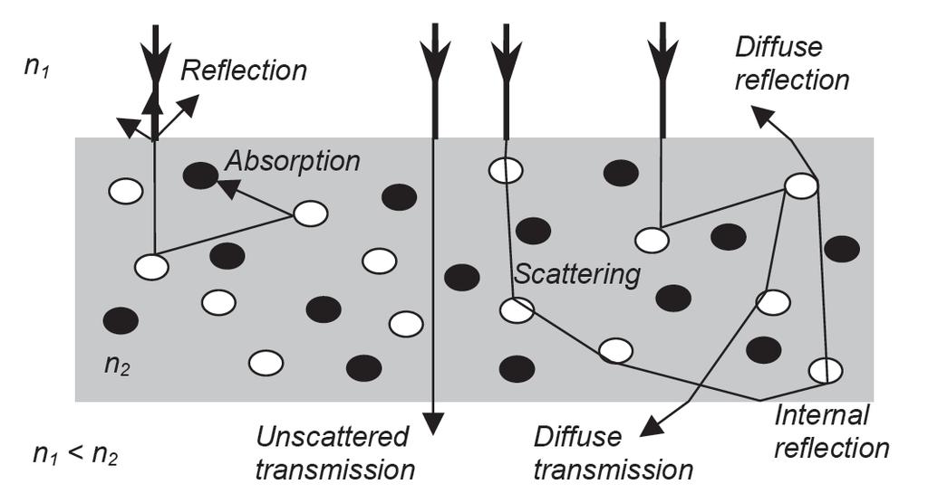 Fig. 2.1 Schematic diagram for the interaction of light with matter. All of these properties are dependent on the wavelength of the light probing the tissue.