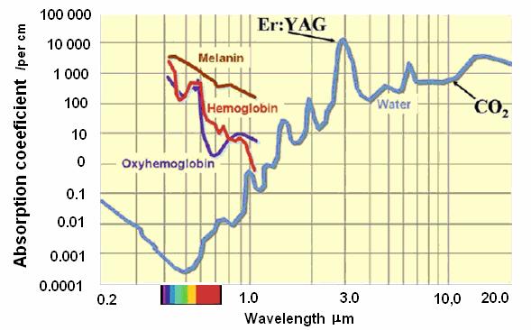 The absorption coefficient is the number of absorption events per unit length (mm -1 or cm -1 ).
