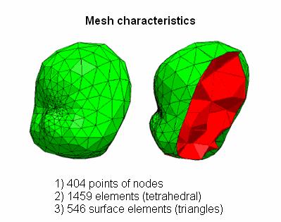 Fig. 2.14 Head-shaped finite element mesh (left) and the surface cut away to show internal structures (right).