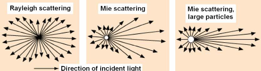 The light scattered by a tissue has interacted with the ultrastructure of the tissue, and tissue ultrastructure extends from membranes to membrane aggregates to collagen fibers to nuclei to cells.