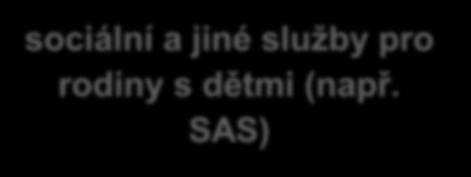 SAS) dětský psychiatr sociální služby pro rodiny s dětmi