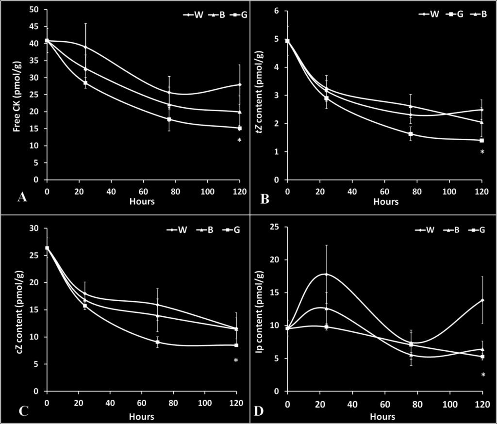 The highest levels of cytokinin ribotides were measured in the blue light deprived leaves (Fig. 12 C), while the lowest in control.