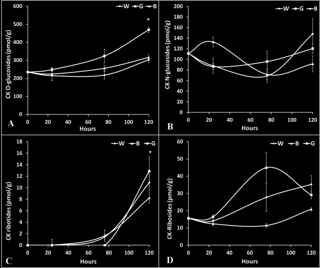 D- Endogenous levels of CK ribosides. Data are presented in pmol per 1 g of leaf tissue.