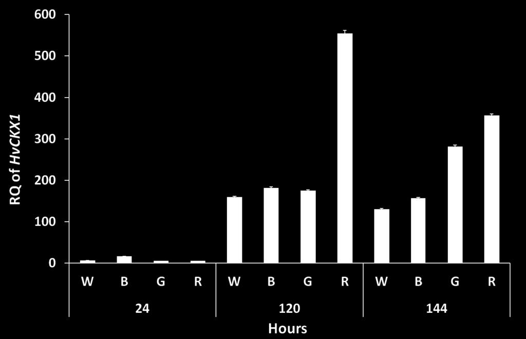 4.2.4 HvCKX1 gene expression In order to monitor the effect of spectral quality on the HvCKX gene expression, which was proved to be crutial in wheat plants, analysis of this gene was performed.