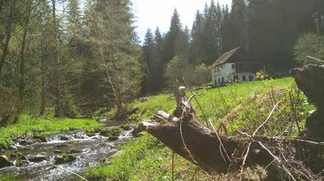 Třeba jako půldenní výlet po svých do Vimperka je to nadmíru dobrý nápad. Od kostela Nalezení sv. Kříže se vydejte po žluté turistické značce kolem střelnice směrem do Vimperka.