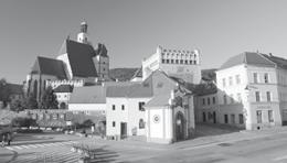 Nástupní plat 24.220 Kč, po roce pak 29.540 Kč, náborový příspěvek 75.000 Kč. Veškeré informace pro zájemce u územního odboru KŘP Jčk Prachatice, personalista Stanislava Vachtfeidlová. Tel.