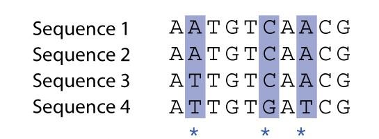 Empirické odhady genetické diverzity (θ) v populaci 1.