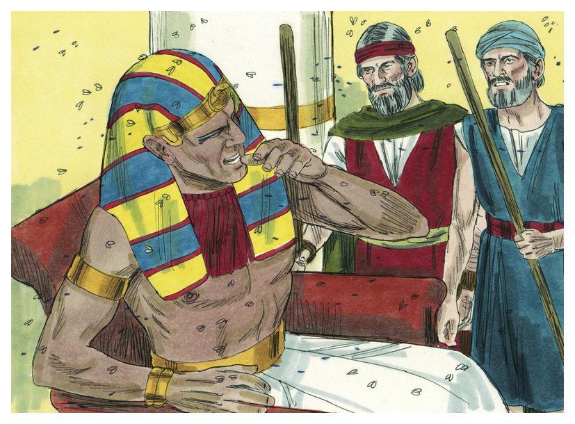 EGYPTSKÉ RÁNY 1.ČÁST - Žáby jsou všude!