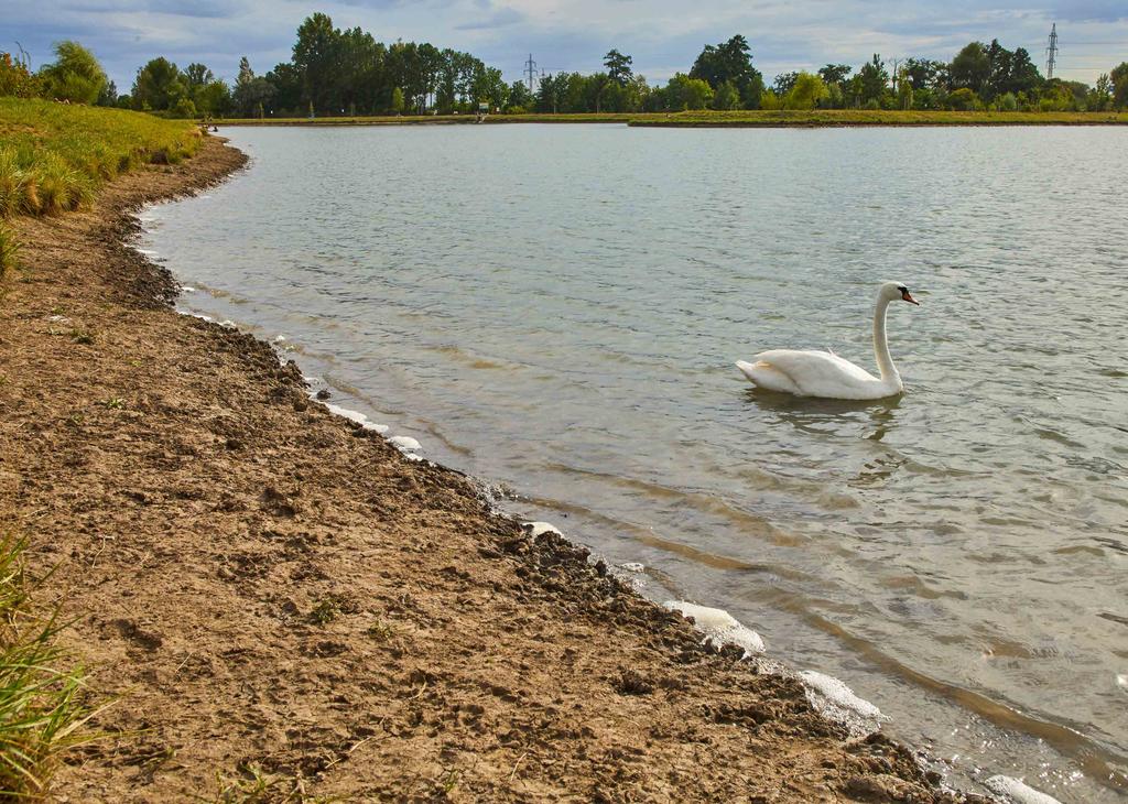 V Jihomoravském kraji Chrlické biocentrum prošlo citlivou obnovou Projekt Biocentrum Chrlice realizace zahrnoval: obnovu krajinných struktur vodního biotopu a ozelenění okolních ploch, celkovou