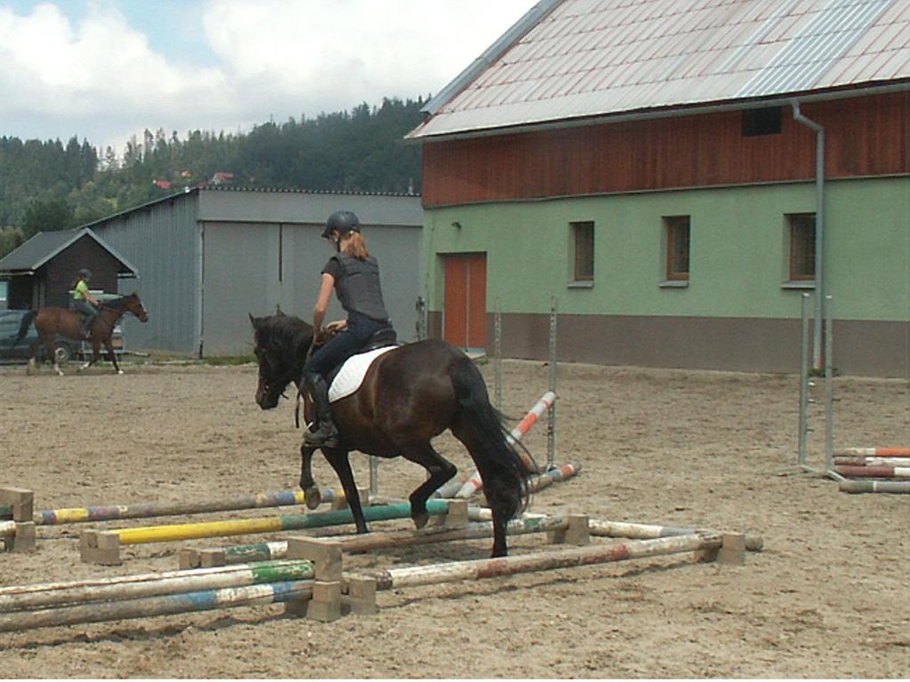 71/786 Nadia Goral