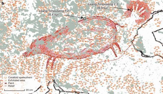 47 Sulawesi je jedenáctý největší ostrov a také je nejstarší v oblasti Wallaceovy linie, předmětem výzkumu bylo sedm jeskyní v krasové oblasti Maros.