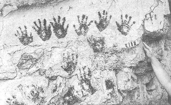 49 skále. Celkem zde najdeme 78 stop rukou (35 pravých, 34 levých, devět s neurčenou stranou). Obrázek 26. Pozitivní otisky rukou v Black Canyon, Montana (Greer a Greer, 1999). 3.6.5 Afrika Nástěnnému umění v Africe se věnovali již v roce 1994 Henneberg a Mathers.