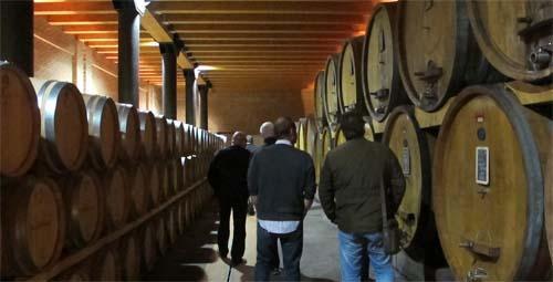 Pátek, Langhe ráno: návštěva/degustace vína Barolo, Barbera, Dolcetto etc, ve vinařském podniku v Langhe