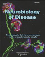 Neurobiology of Disease 38 (2010) 27 35 Contents lists available at ScienceDirect Neurobiology of Disease journal homepage: www.elsevier.