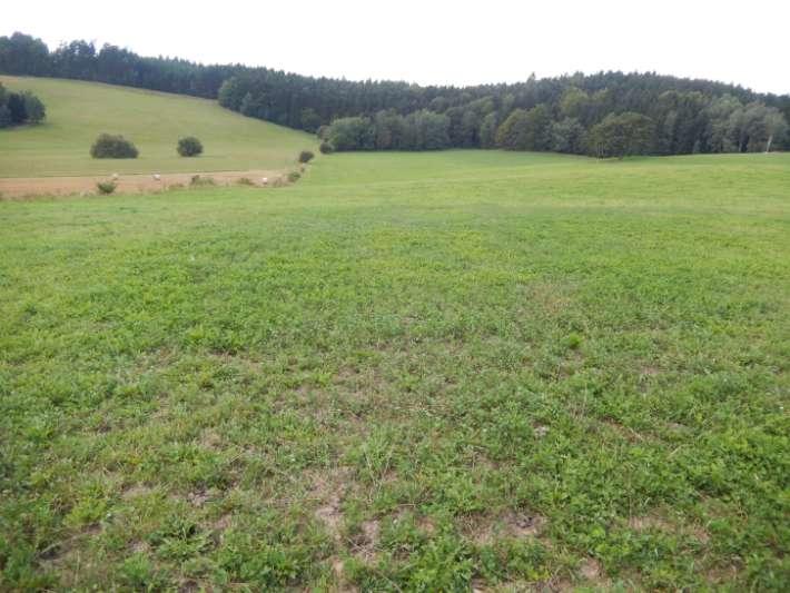 Jak předcházet nebo omezovat poškození porostů suchem udržovat jeteloviny v porostu jsou