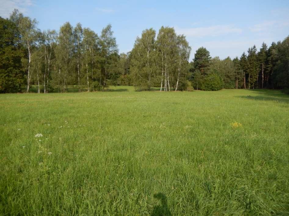 Jak předcházet nebo omezovat poškození porostů suchem osekávání pastevních i lučních porostů na vyšší strniště Upřednostňovat mladší porosty v dobré kondici, starší porosty jen ty