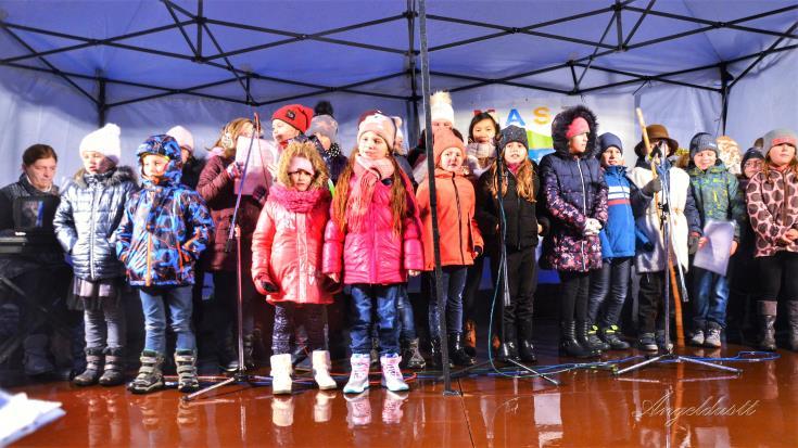 Akci organizovala Místní akční skupina Zálabí a Město Týnec nad Labem ve spolupráci s dalšími aktivními členy veřejnosti.