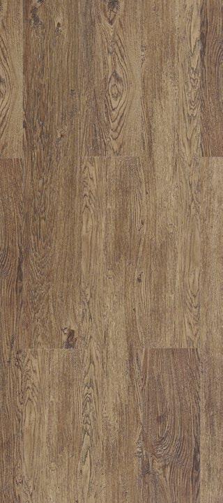 Pine B5P7001