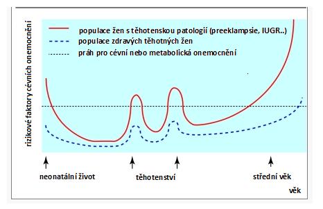 onemocnění matky v jejím v pozdějším ţivotě [88,92,116,102].