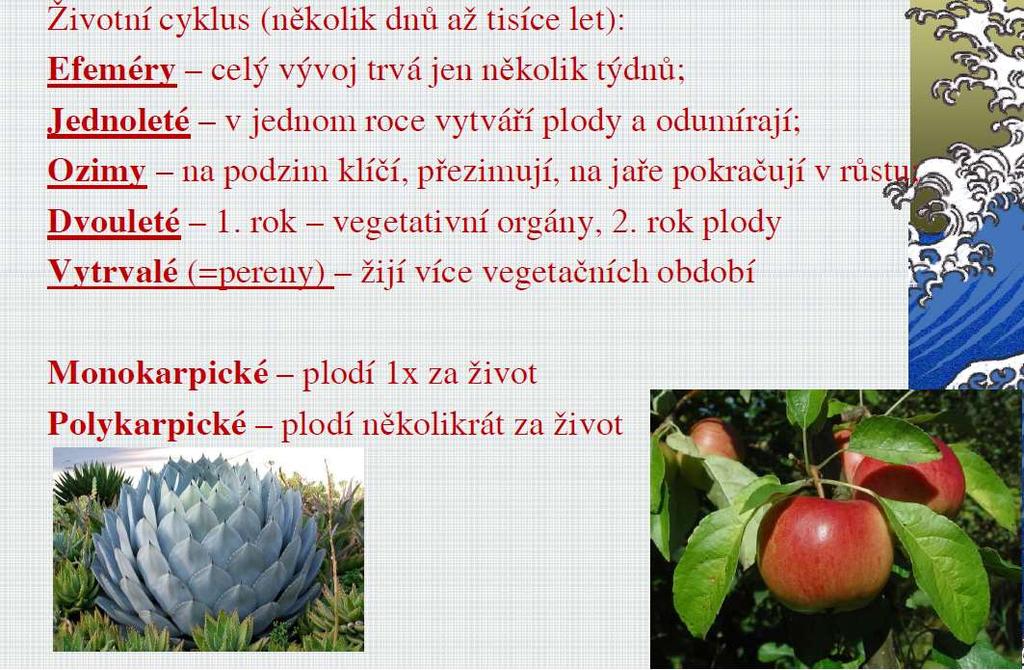 Životní