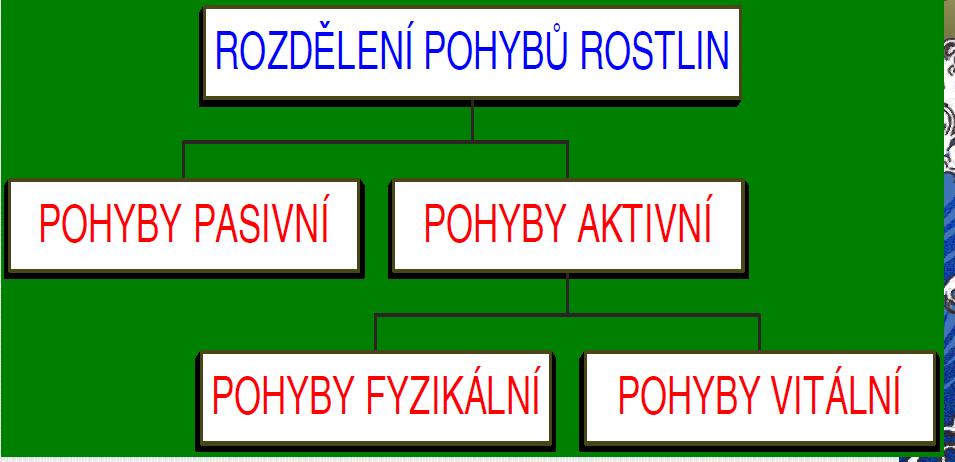 Pohyby