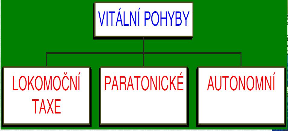 Pohyby
