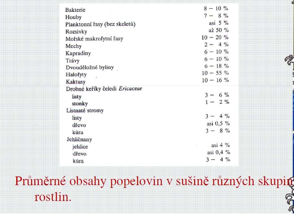 Průměrné