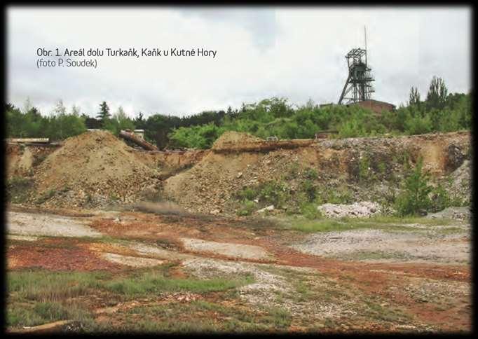 výbušniny těžké kovy chemikálie léky barviva