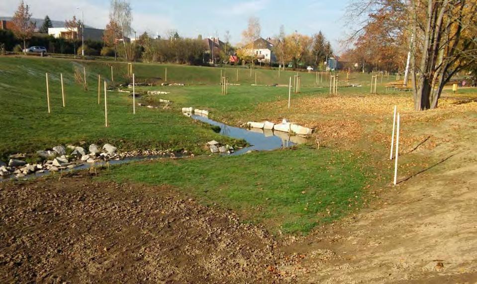 REVITALIZACE RAKOVSKÉHO POTOKA VČETNĚ