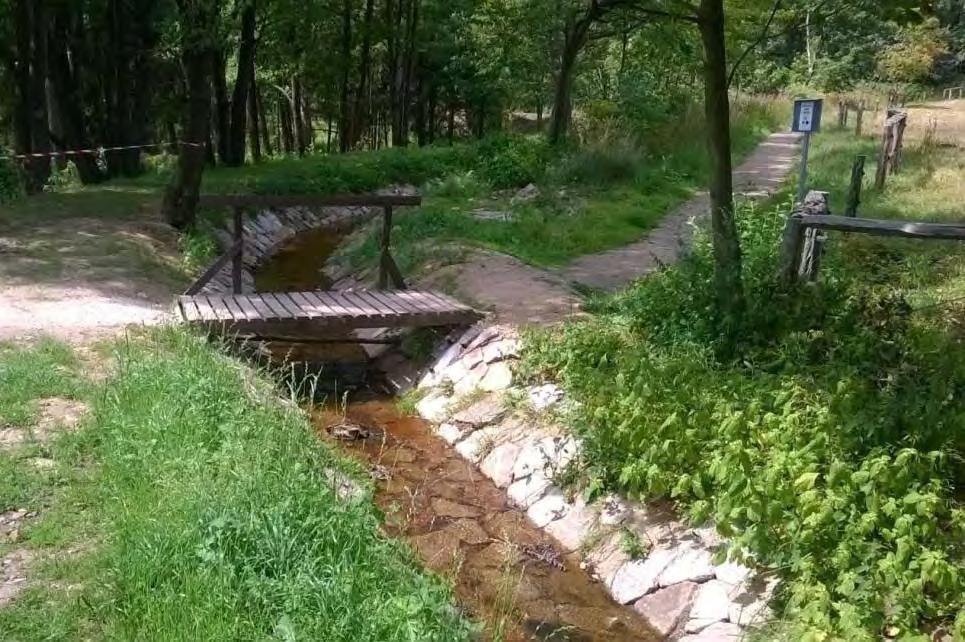 DLOUHÁ