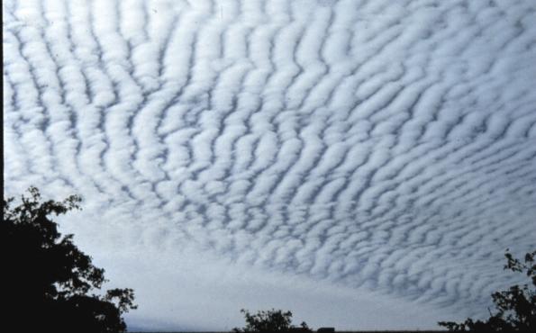 1.2.5 Altostratus Oblaky druhu Altostratus mají vzhled šedavé nebo modravé oblačné plochy nebo