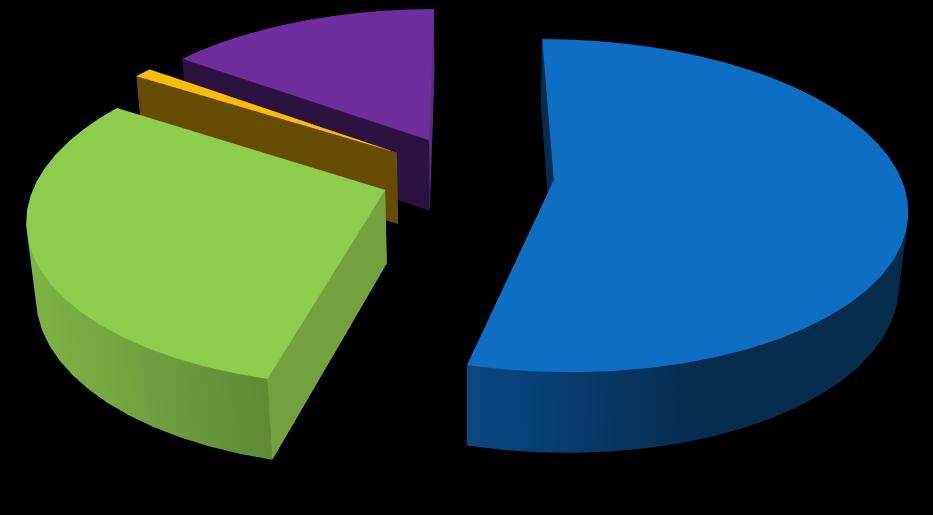 Systém přímých plateb 1% 15% SAPS 54% Greening 30% Mladý