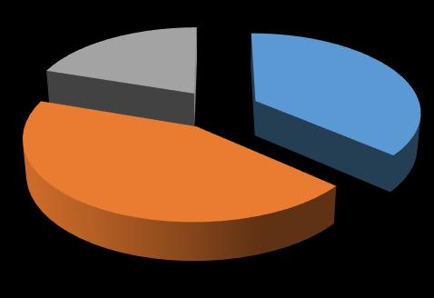 2017: 36% uživatelů trvale leží na lůžku, 20 % uživatelů se pohybuje za pomoci druhé osoby nebo prostřednictvím kompenzačních pomůcek, 44 %