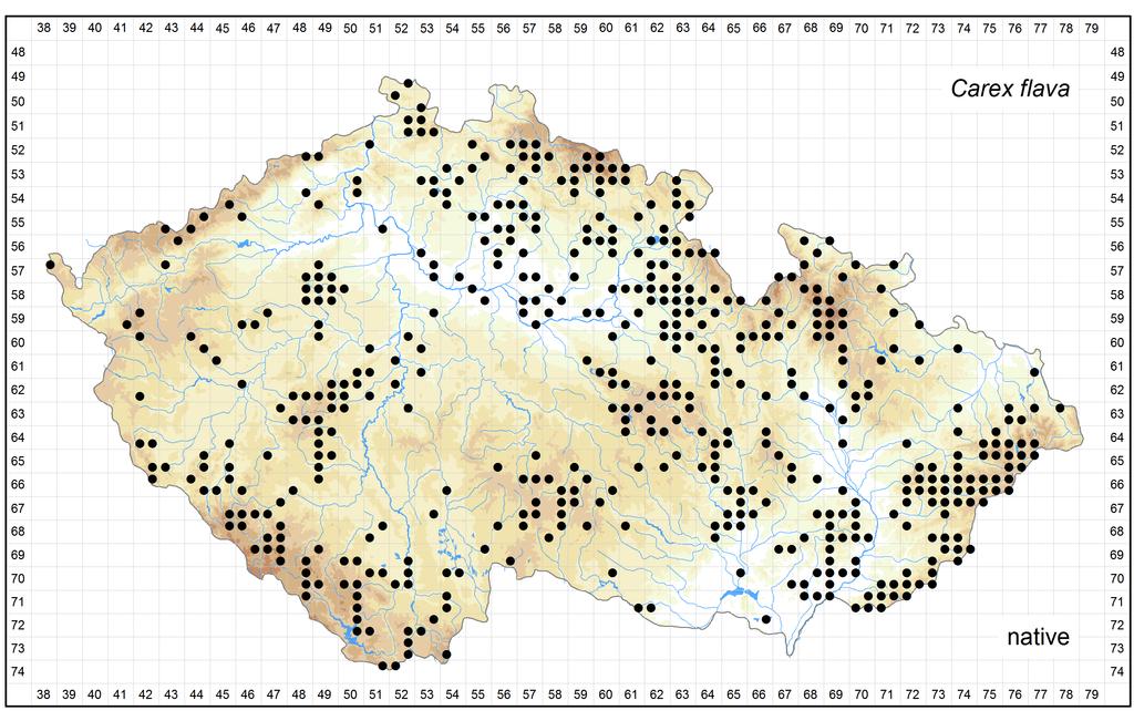 Distribution of Carex flava in the Czech Republic Author of the map: Jitka Štěpánková Map produced on: 18-11-2015 Database records used for producing the distribution map of Carex flava published in