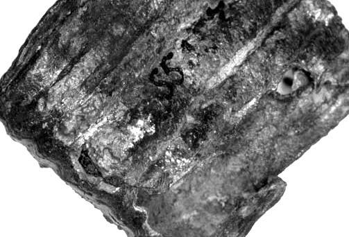 Tab. XV. Kanín II.