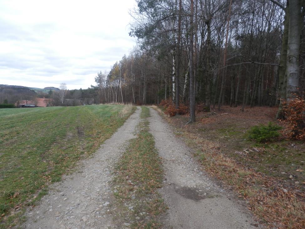 C15 E. Zpráva o předběžném IGP Inženýrsko-geologický průzkum (IGP) bude u opatření ke zpřístupnění pozemků prováděn před realizací jednotlivých opatření.