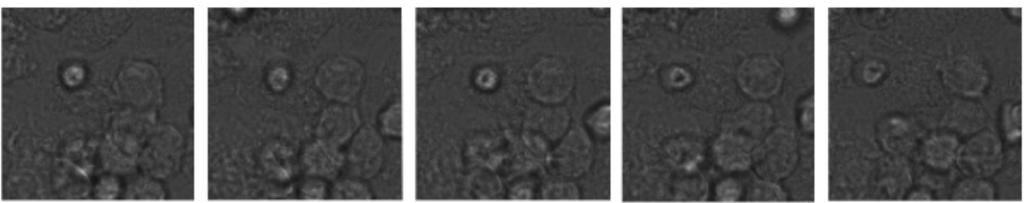 However it is still a question how this is related to specific Nvl function. Fig.
